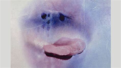 mature women p***|Sex positivity after 70: Marilyn Minter’s sensual photographs of ...